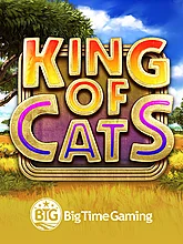 King of Cats
