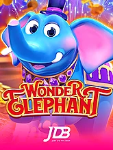 Wonder Elephant