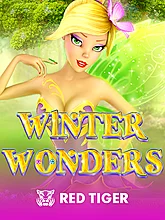 Winter Wonders