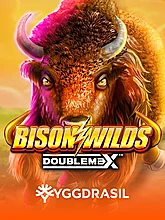 Bison Wilds