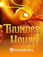Thunderhawk